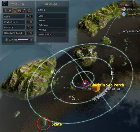 bdo blackfin sea perch|bdo where to catch tuna.